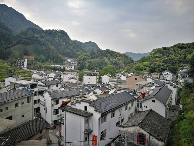 大山村古树林农家乐