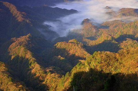 光雾山旅游景区旅游景点攻略图