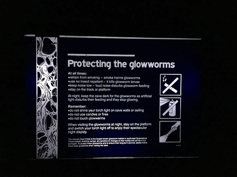 Springbrook Glow Worm Research Centre旅游景点图片