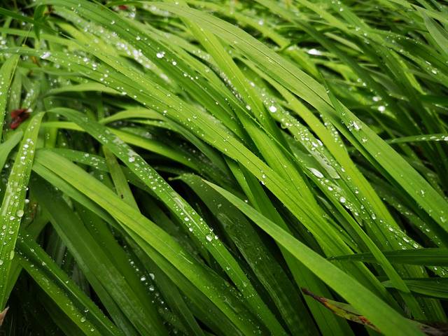 登高云山森林公园