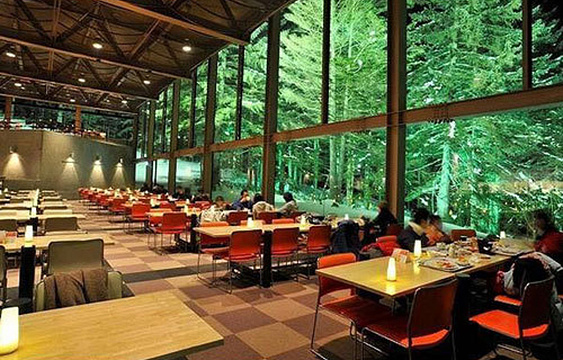 尼葡力森林餐厅旅游景点图片