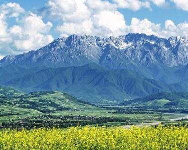 太子山国家森林公园