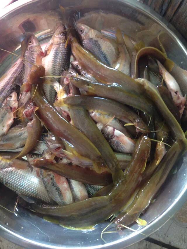 清远大罗山休闲农场住宿(天子山瀑布风景区店)