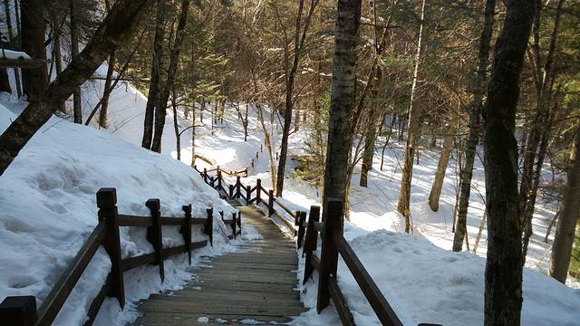 长白山生态植物园