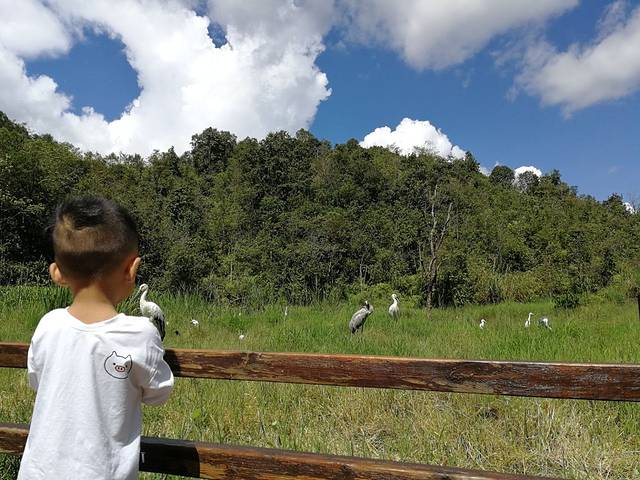 太阳河森林公园