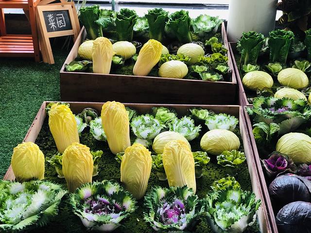 佛冈碧桂园假日温泉酒店(官方直营店)·餐厅