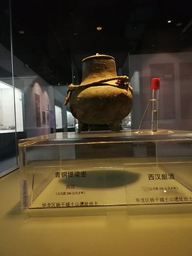 濮阳博物馆
