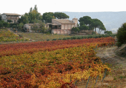 Bodega Calzadilla旅游景点图片