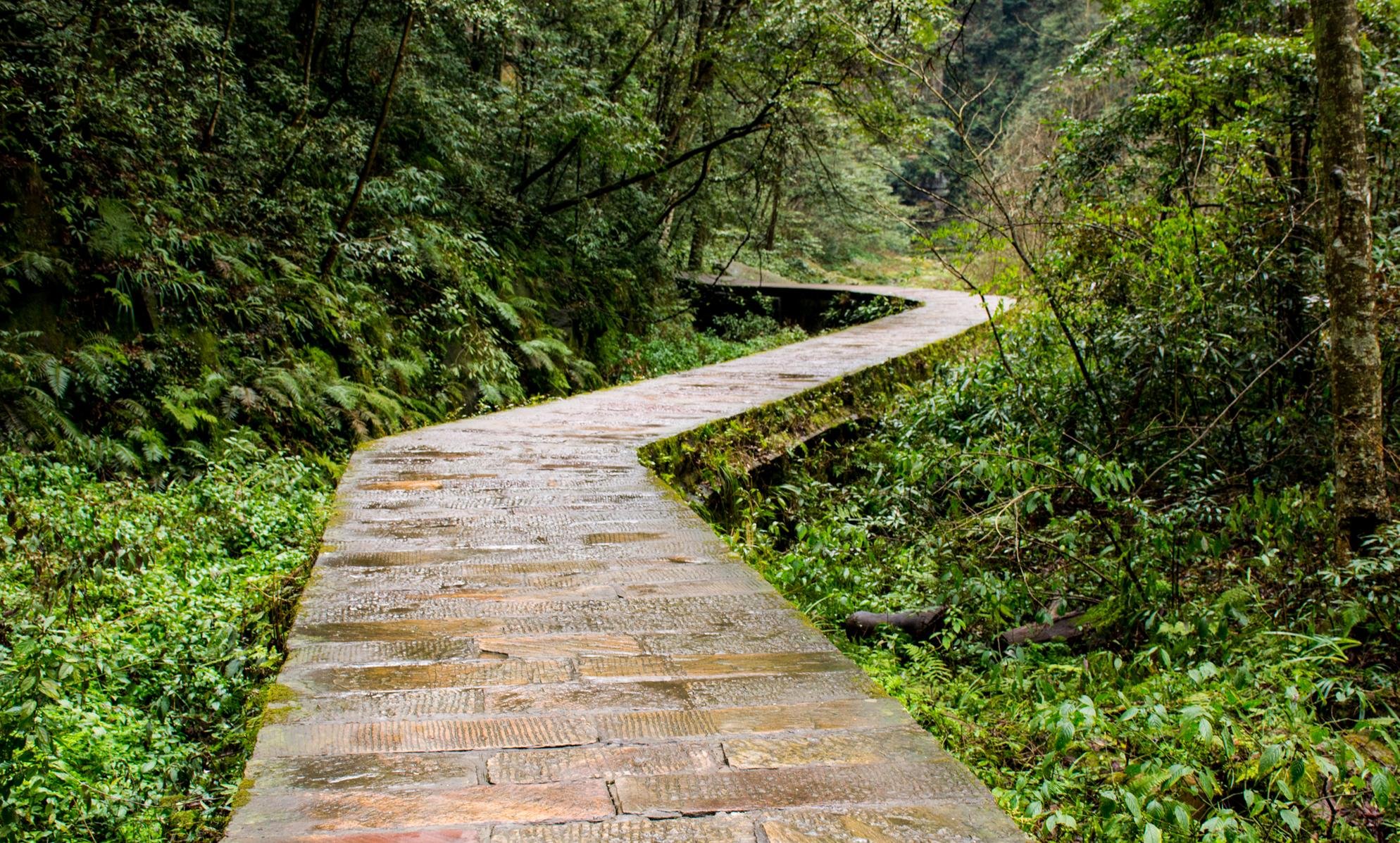 武陵源风景名胜区-砂刀沟