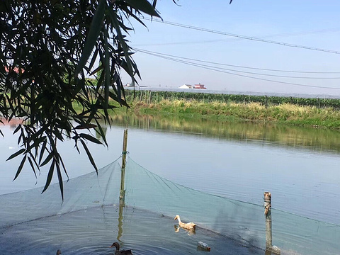 檀渎村旅游景点图片