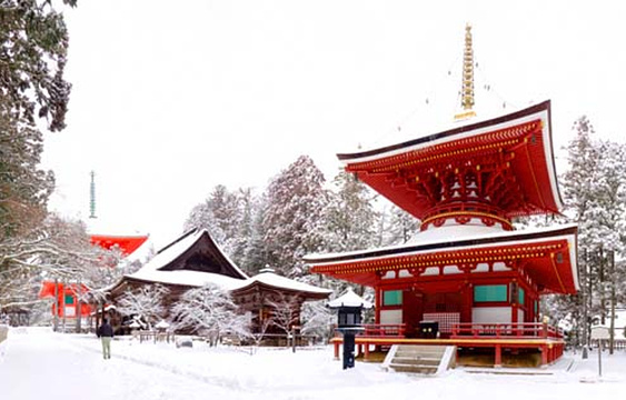 21壇上伽蓝 旅游攻略 门票 地址 问答 游记点评 高野町旅游旅游景点推荐 去哪儿攻略