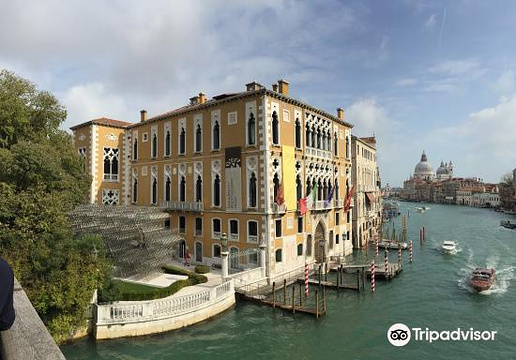 Istituto Veneto di Scienze Lettere ed Arti旅游景点图片