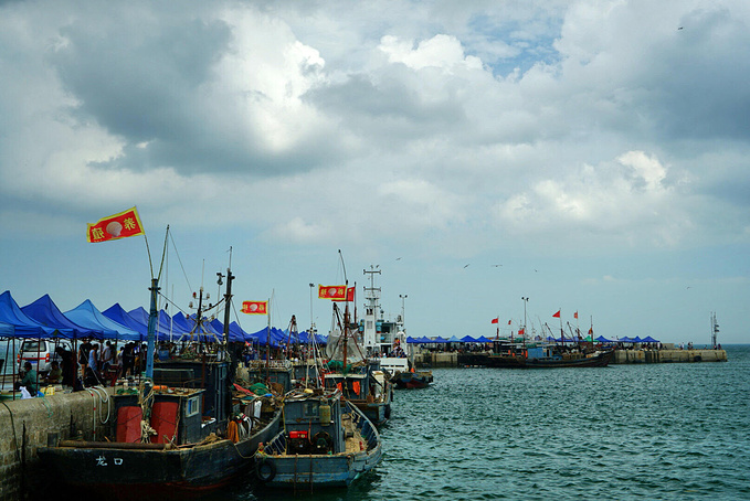 爱上龙口那片最美的海,海湾中享受无人打扰的那份宁静-龙口旅游攻略-游记-去哪儿攻略