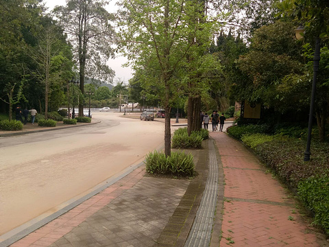 仙葫广场旅游景点图片