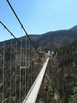峡谷索桥的图片