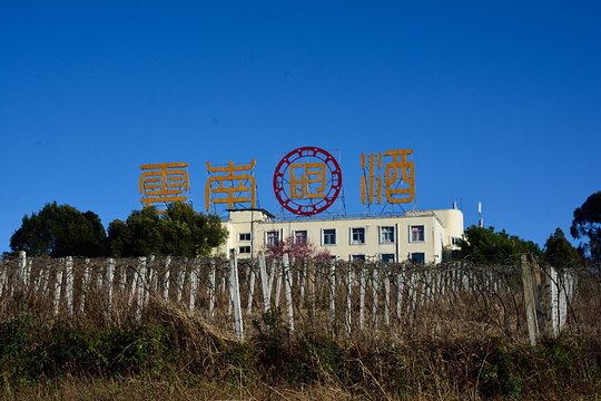 云南省国营弥勒东风农场旅游景点图片