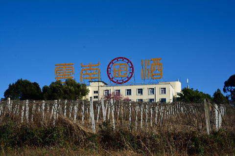 云南省国营弥勒东风农场的图片
