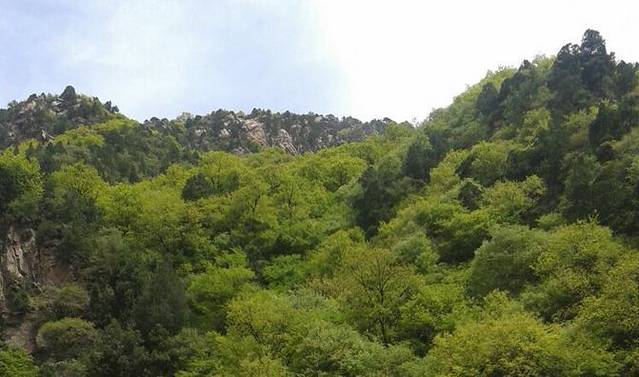 九龙山生态旅游风景区