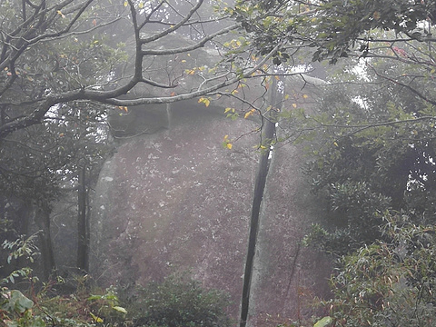 普陀山风景名胜区-梵音洞旅游景点图片
