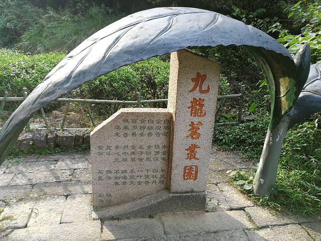 武夷山风景名胜区-九龙窠