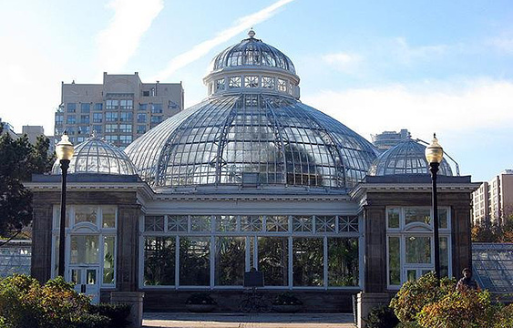 21爱伦温室花园 旅游攻略 门票 地址 问答 游记点评 多伦多旅游旅游景点推荐 去哪儿攻略