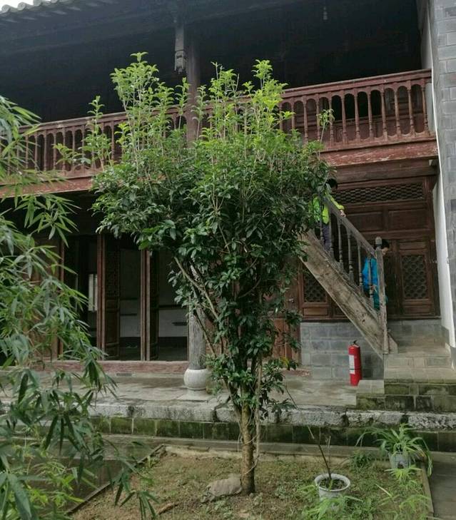 庾恩旸故居
