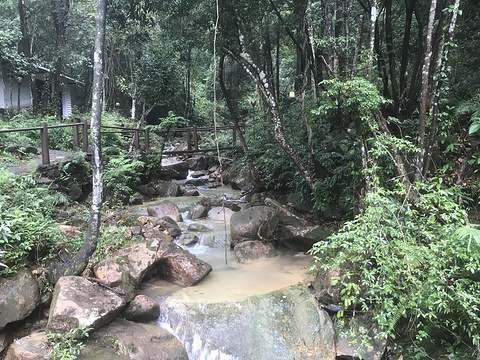 云天海原始森林度假村-凉亭
