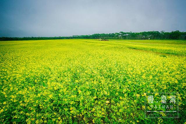 大农大富平地森林园区