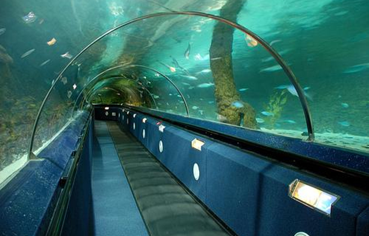 凯利塔顿海底世界