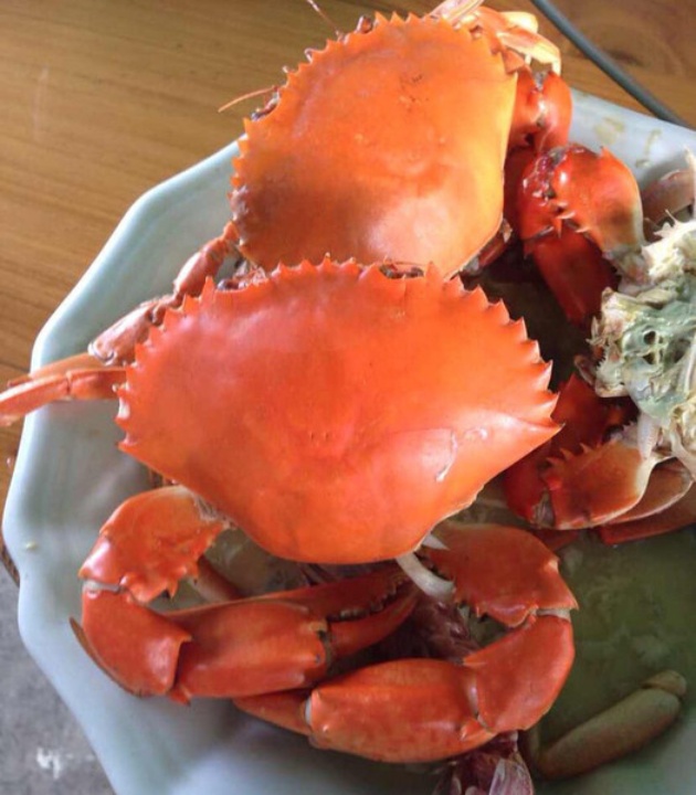 渔寮浪里湾海鲜楼