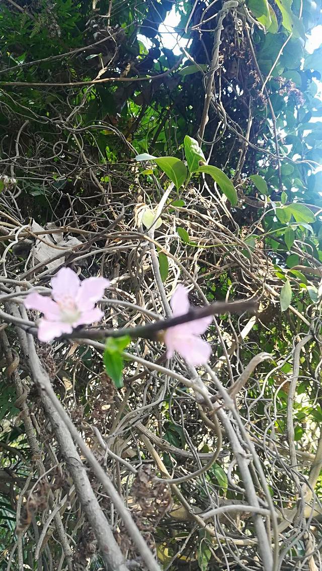 南澳岛生态旅游区-后宅镇宫前大圆