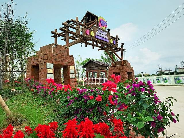 北纬23°8′森林营地