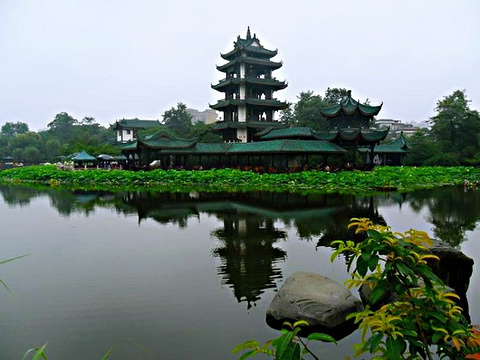 桂湖森林广场的图片