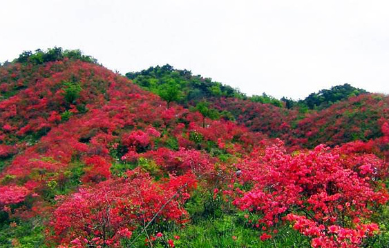 大幕山森林公园旅游景点图片