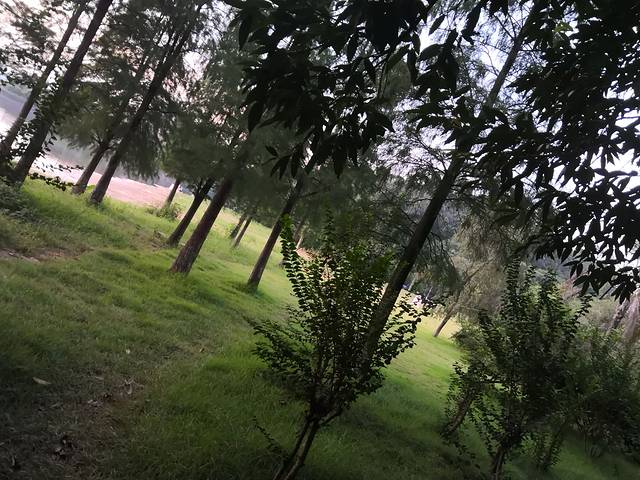 东莞市同沙水库