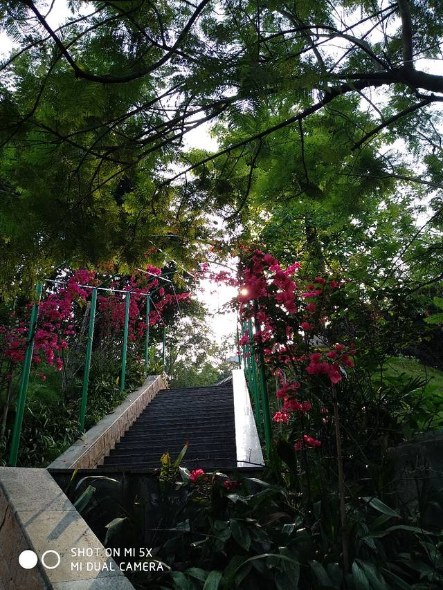 倒流河风景旅游区