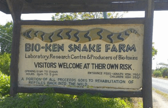 Bio-Ken Snake Farm旅游景点图片