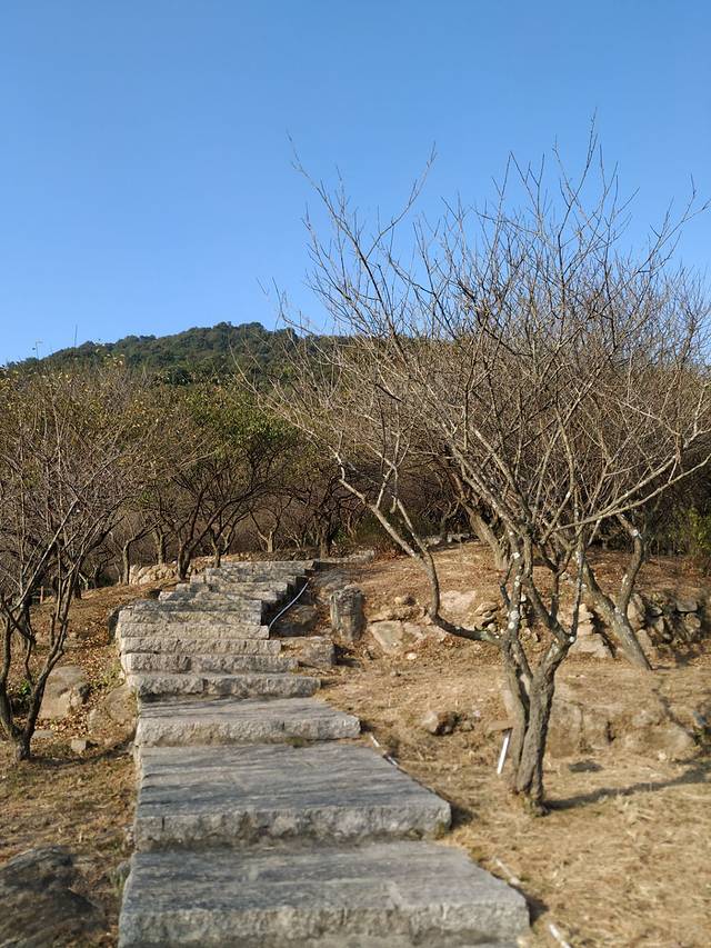 鼓山风景区梅里景区-相怀梅园