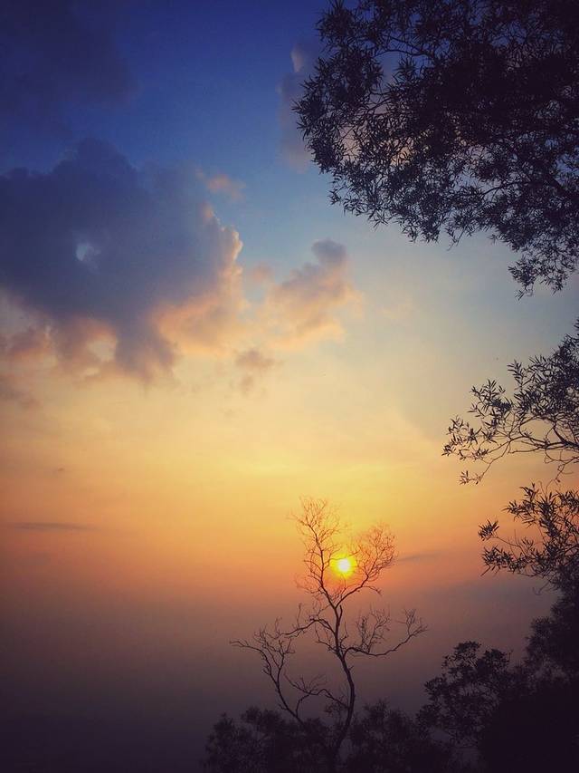 肯德基(新会店)