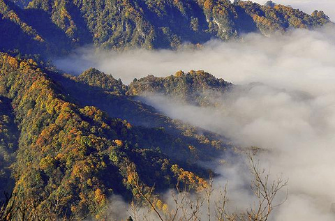 光雾山旅游景区旅游景点攻略图