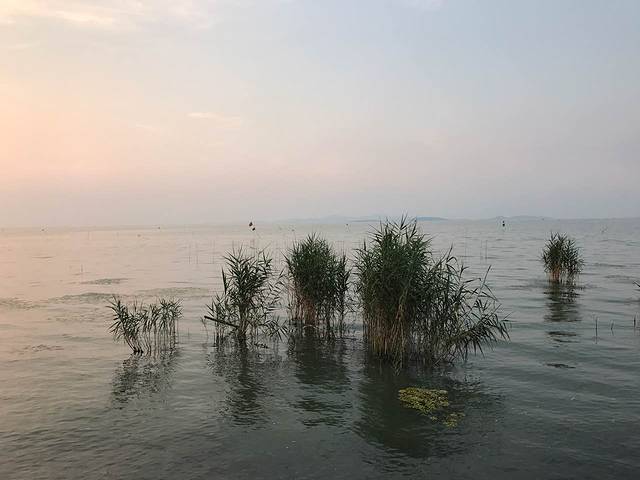 德克士(太湖店)