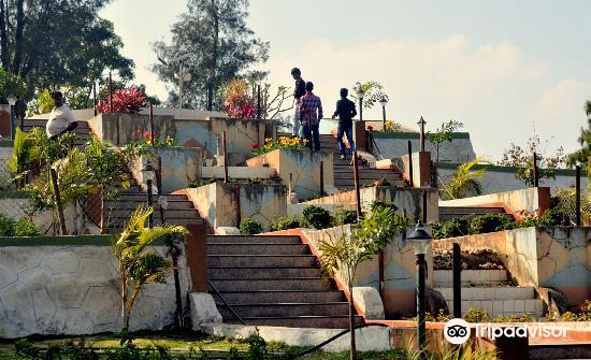 Step Garden旅游景点图片