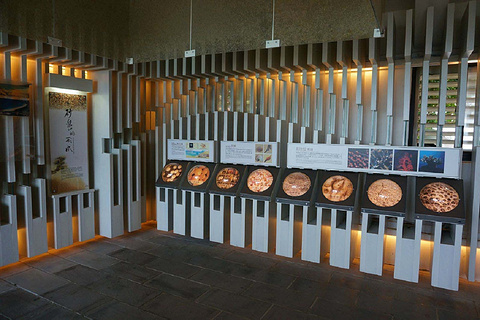 砂岛贝壳砂展示馆