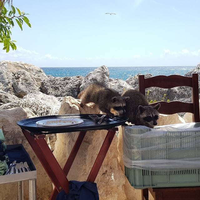 帕克尼卓水上乐园