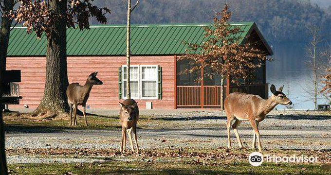 Lake Guntersville State Park Campground旅游景点图片