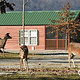 Lake Guntersville State Park Campground