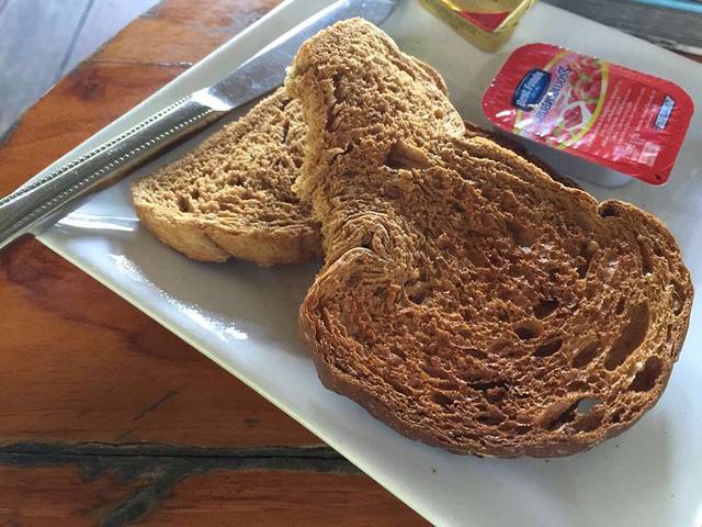 The Magic Garden Restaurant