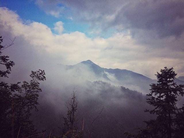 松阳寨头摄影休闲园农家乐