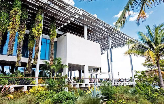 迈阿密佩雷斯艺术博物馆旅游景点图片