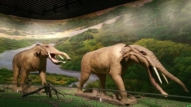 和政古生物化石文旅旅游区·古动物化石博物馆旅游景点图片